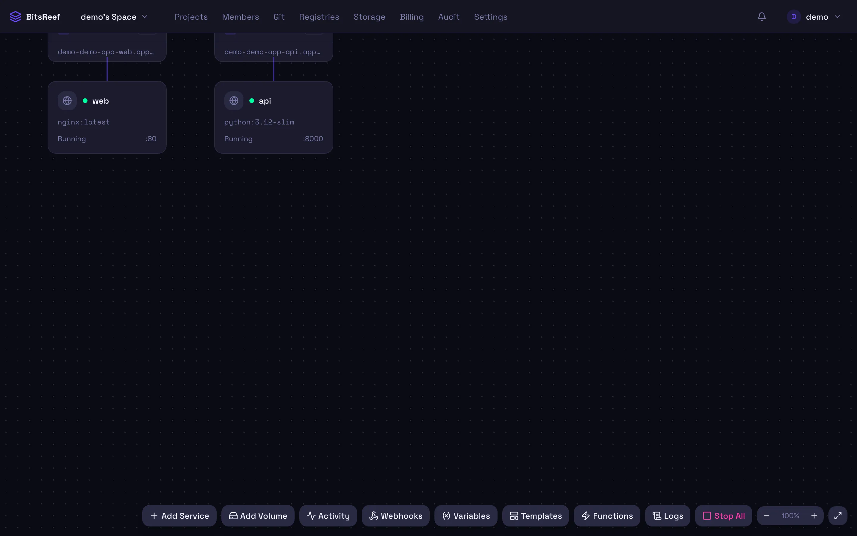 A project canvas with two running services