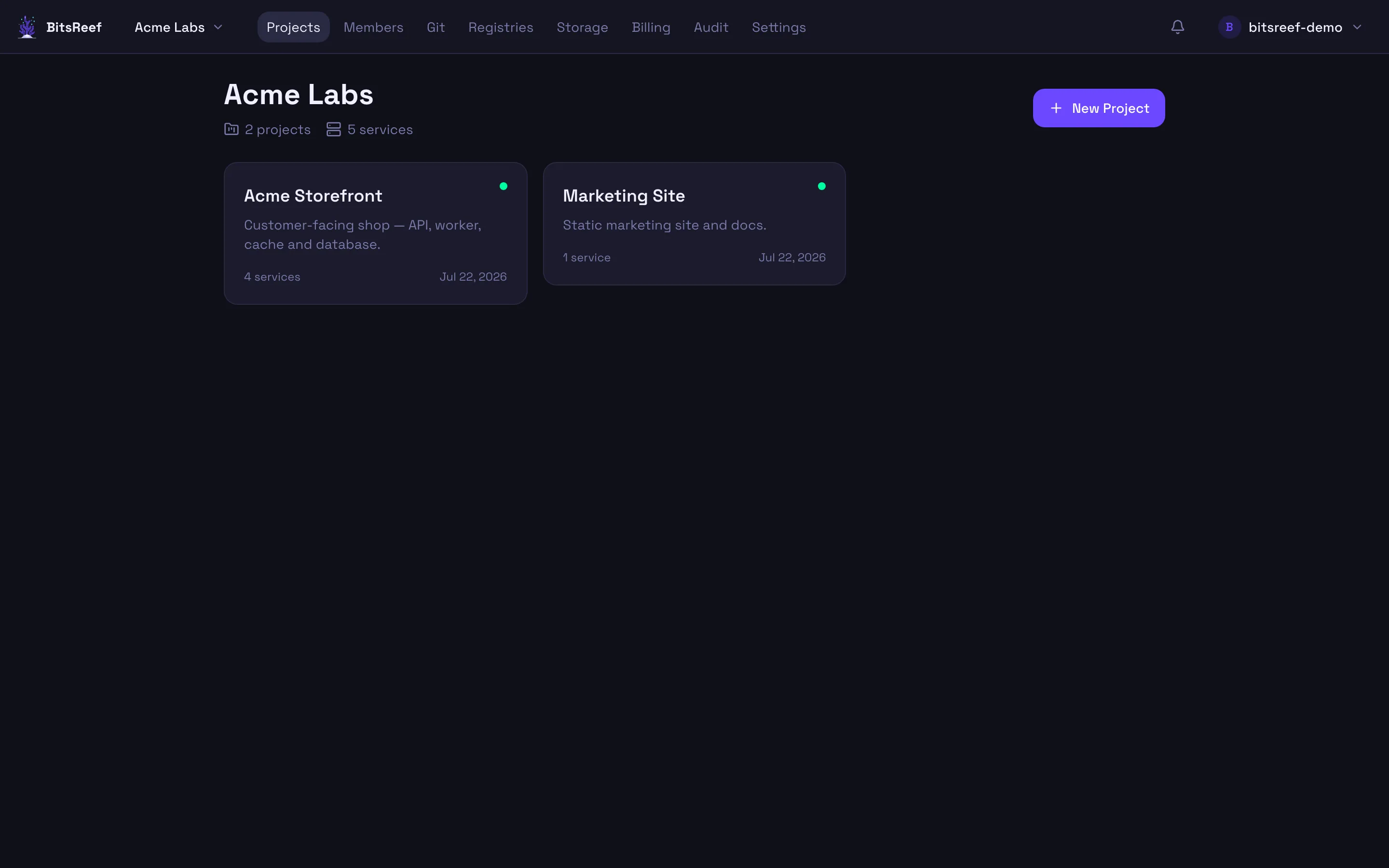 The organization dashboard with a project