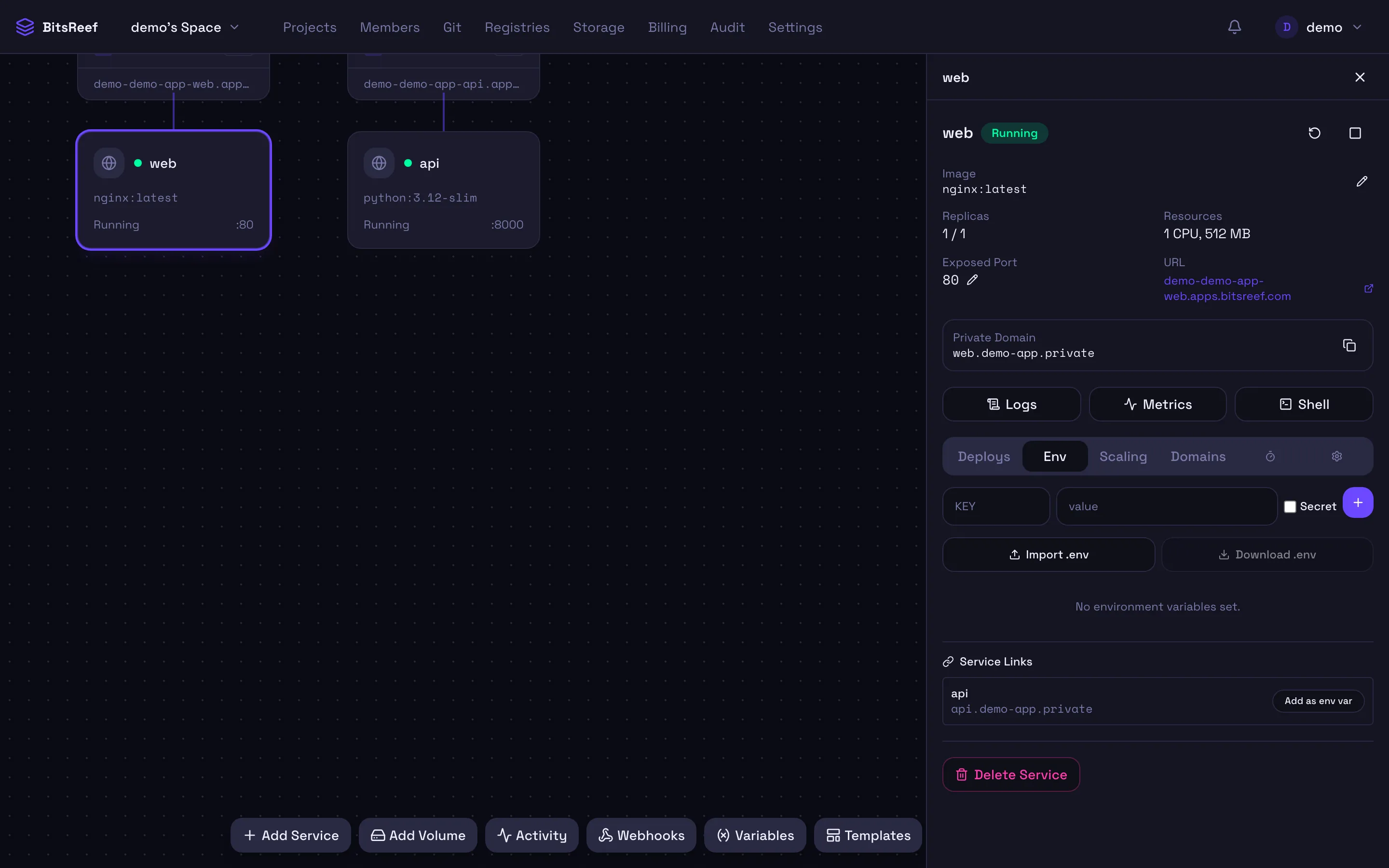 The Env tab of a service