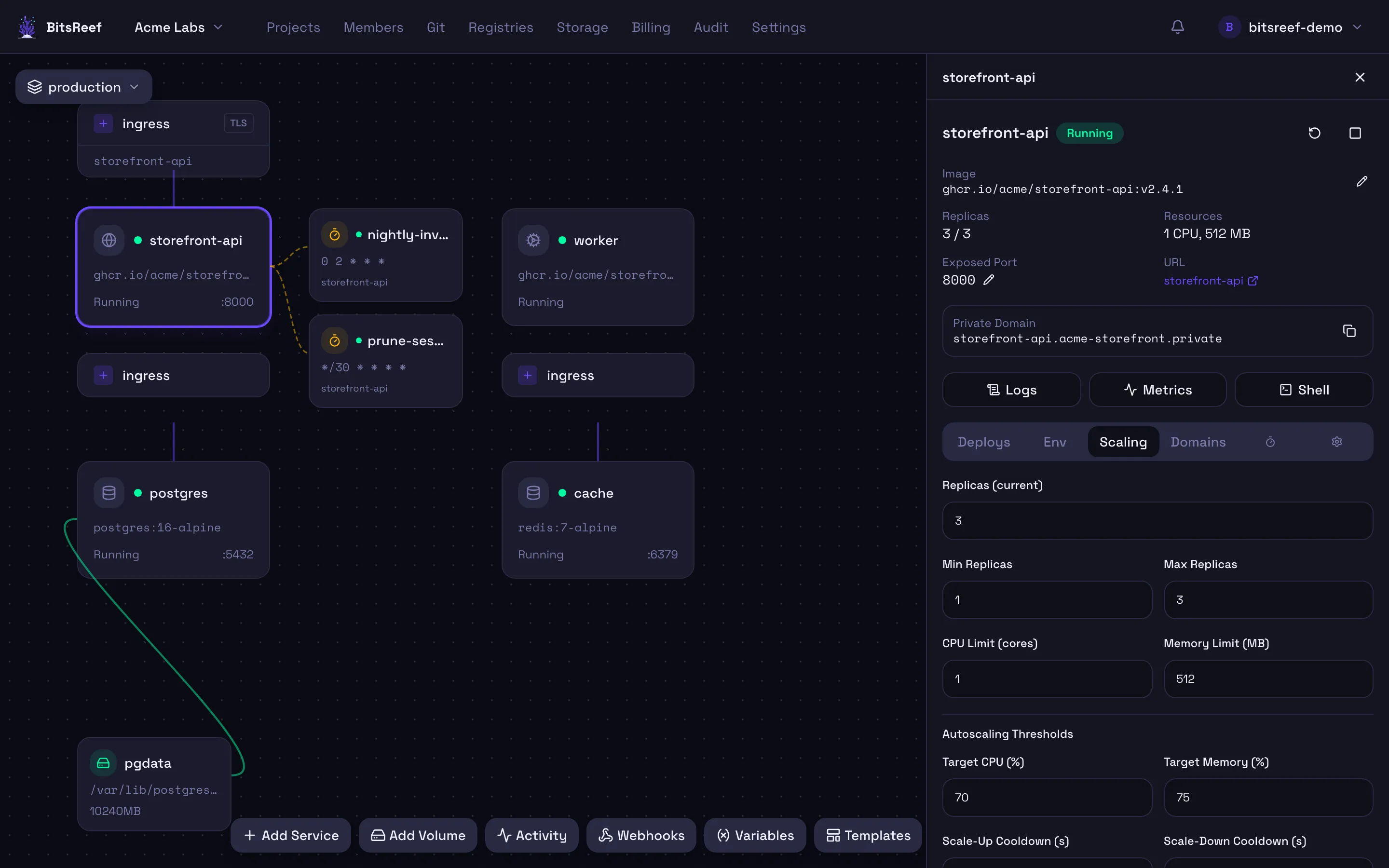 The service detail panel